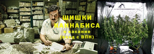 дурь Алзамай