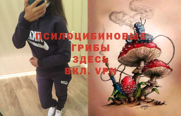 дурь Алзамай